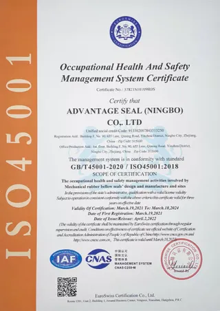 ISO 45001